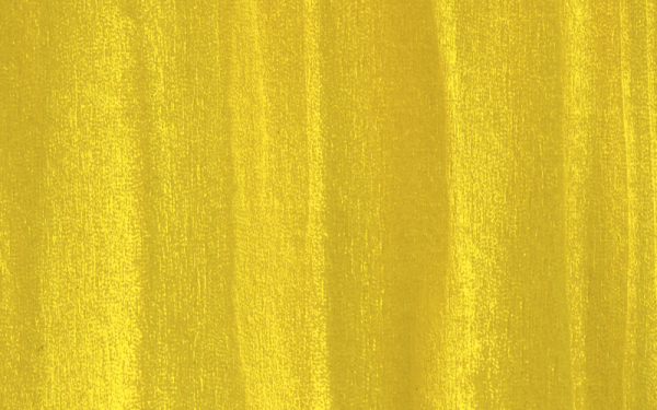 Canary Yellow Poplar Veneer Sheet